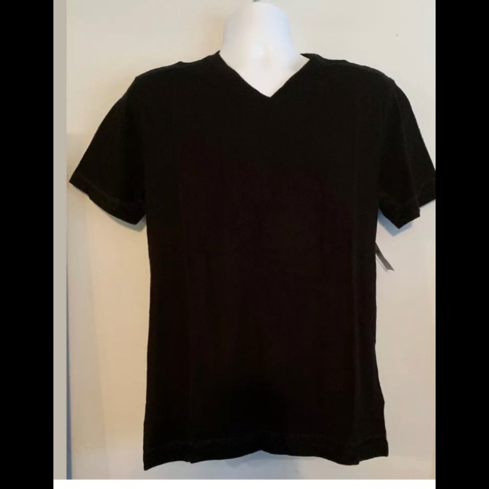 Men’s Gap everyday fit v neck t shirt